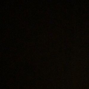 Meet your Posher, Abigail